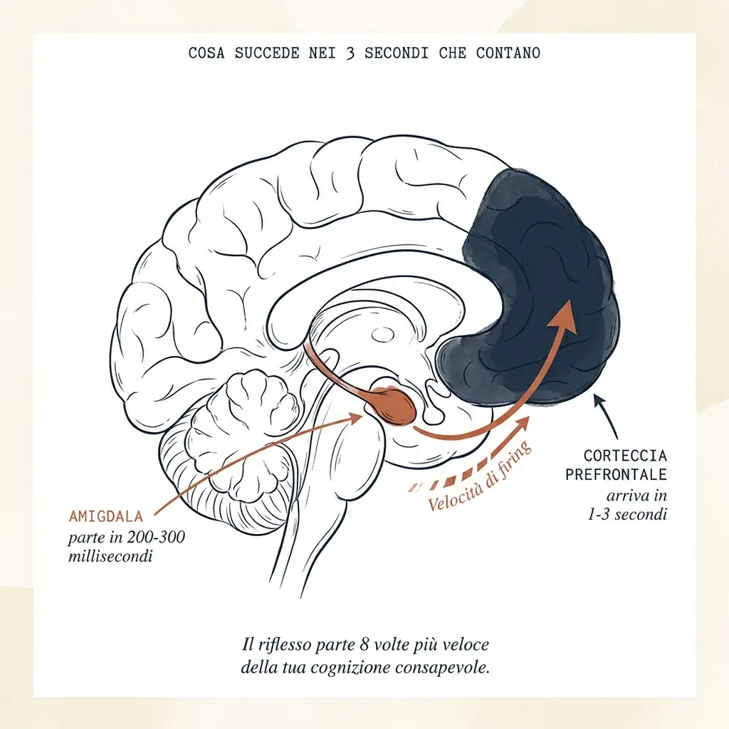 Infografica: amigdala (200-300ms) vs corteccia prefrontale (1-3 secondi), il riflesso parte 8 volte più veloce.